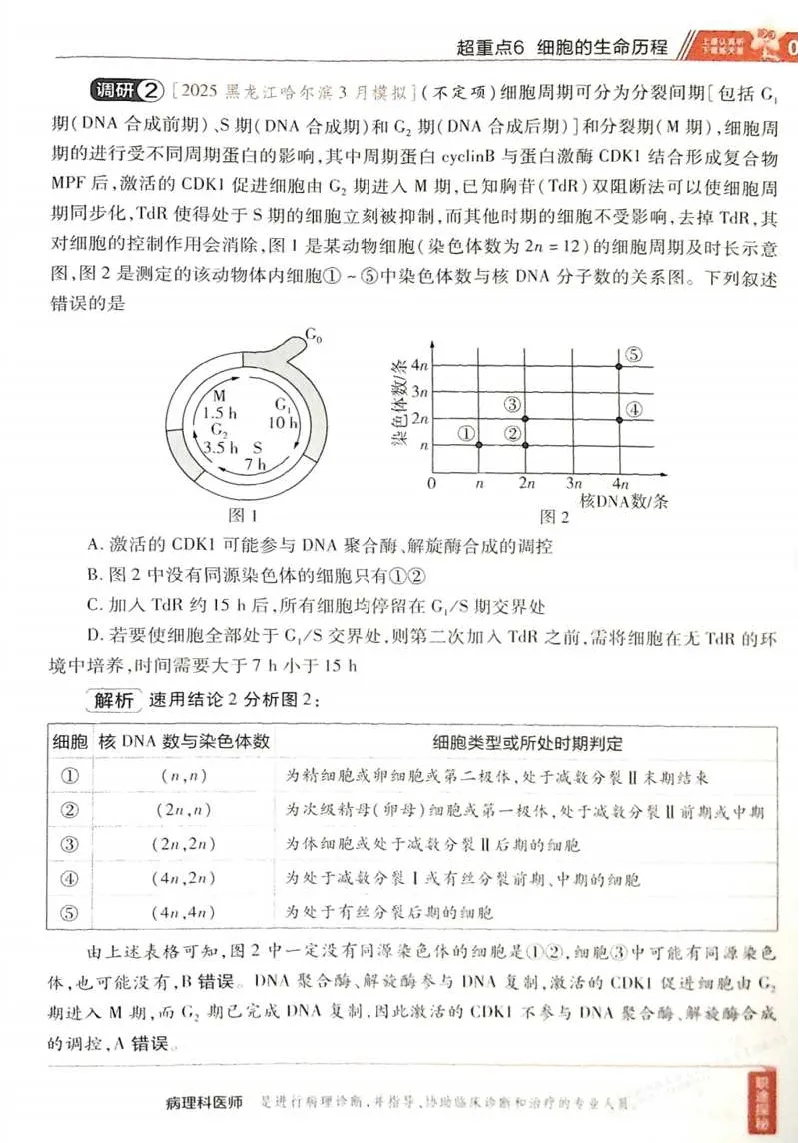 2026试题调研生物第一辑_高中三年全科资料_高中_高中1_2026版高考《试题调研》第1辑（高考超重点）9科全套