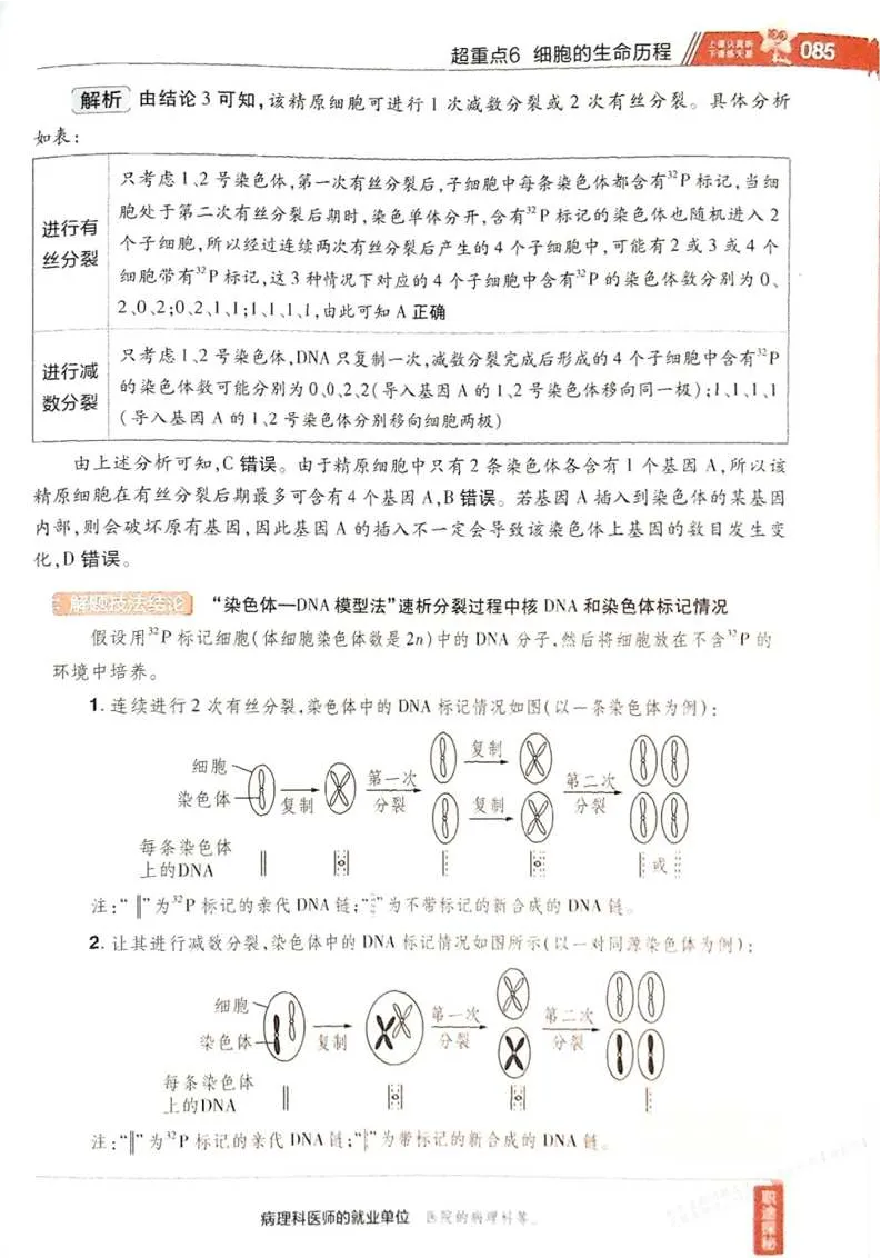 2026试题调研生物第一辑_高中三年全科资料_高中_高中1_2026版高考《试题调研》第1辑（高考超重点）9科全套