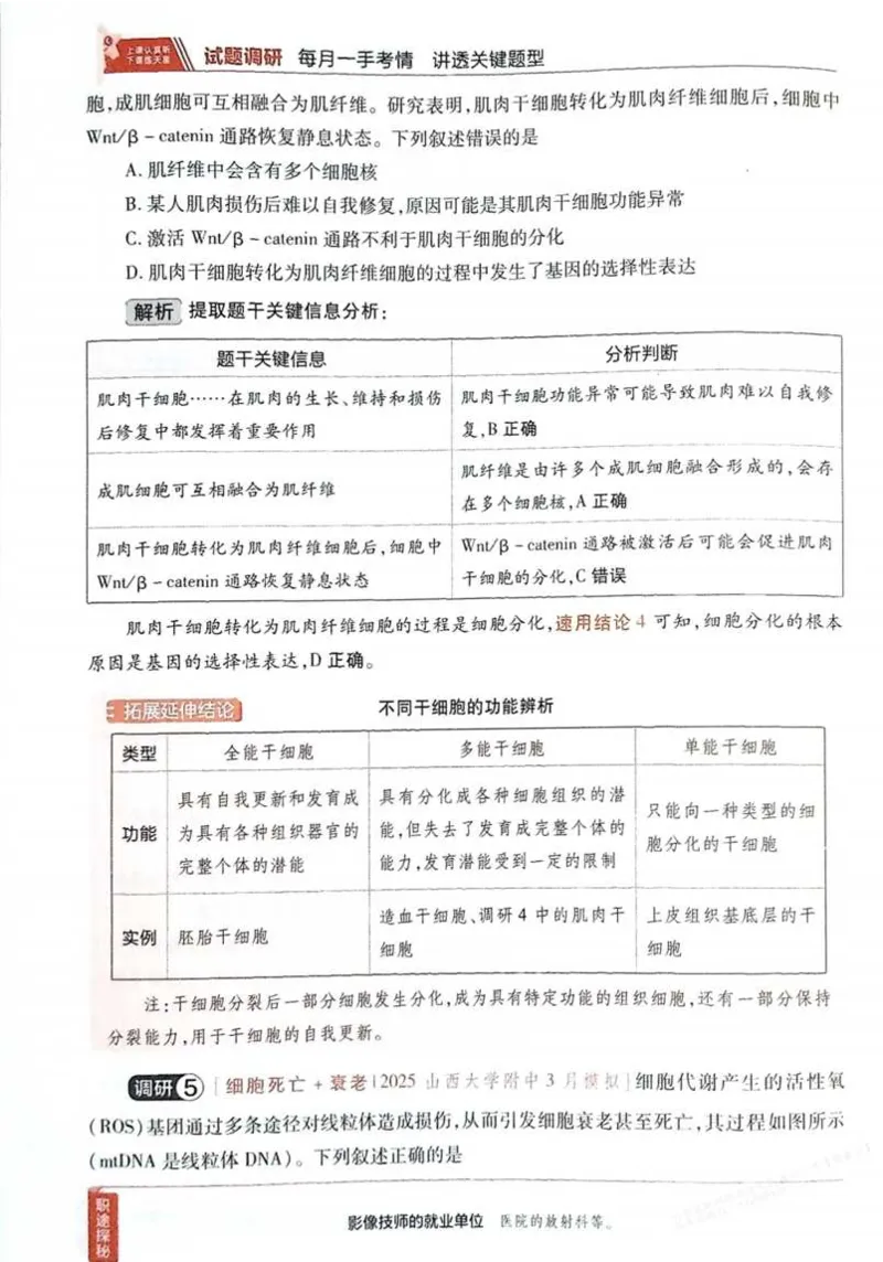 2026试题调研生物第一辑_高中三年全科资料_高中_高中1_2026版高考《试题调研》第1辑（高考超重点）9科全套