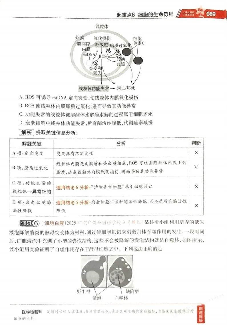 2026试题调研生物第一辑_高中三年全科资料_高中_高中1_2026版高考《试题调研》第1辑（高考超重点）9科全套