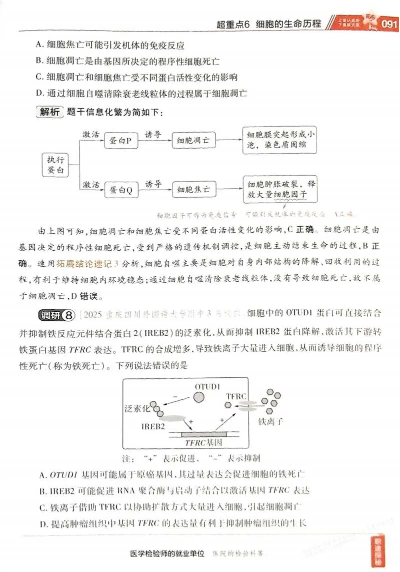2026试题调研生物第一辑_高中三年全科资料_高中_高中1_2026版高考《试题调研》第1辑（高考超重点）9科全套