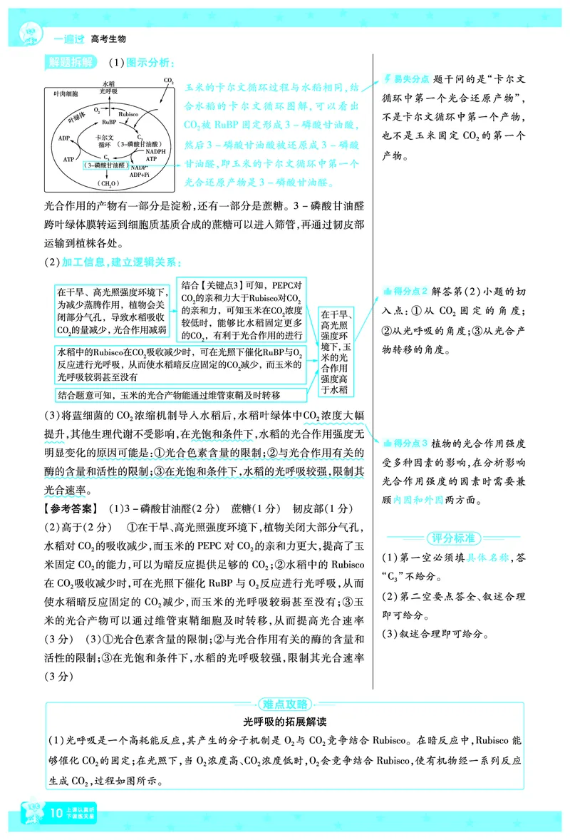 2026《高考生物&bull;一遍过合订本》拆解重难题_高中三年全科资料_高中_高中1_2026版高考《一遍过》高考合订版（理科全套）_2026《高考生物&bull;一遍过合订本》