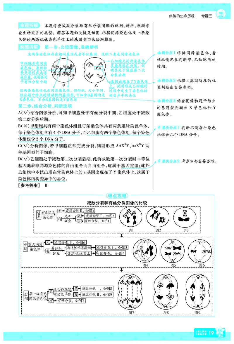 2026《高考生物&bull;一遍过合订本》拆解重难题_高中三年全科资料_高中_高中1_2026版高考《一遍过》高考合订版（理科全套）_2026《高考生物&bull;一遍过合订本》