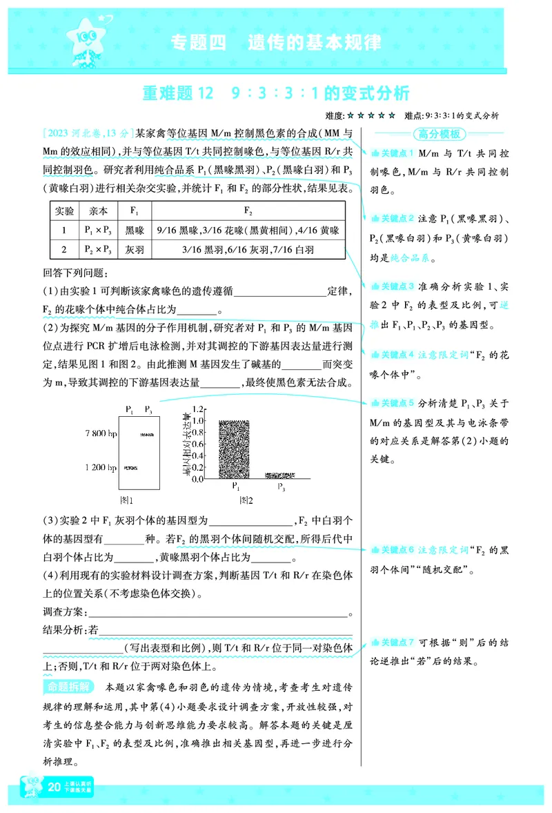 2026《高考生物&bull;一遍过合订本》拆解重难题_高中三年全科资料_高中_高中1_2026版高考《一遍过》高考合订版（理科全套）_2026《高考生物&bull;一遍过合订本》