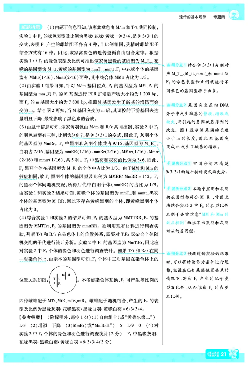 2026《高考生物&bull;一遍过合订本》拆解重难题_高中三年全科资料_高中_高中1_2026版高考《一遍过》高考合订版（理科全套）_2026《高考生物&bull;一遍过合订本》