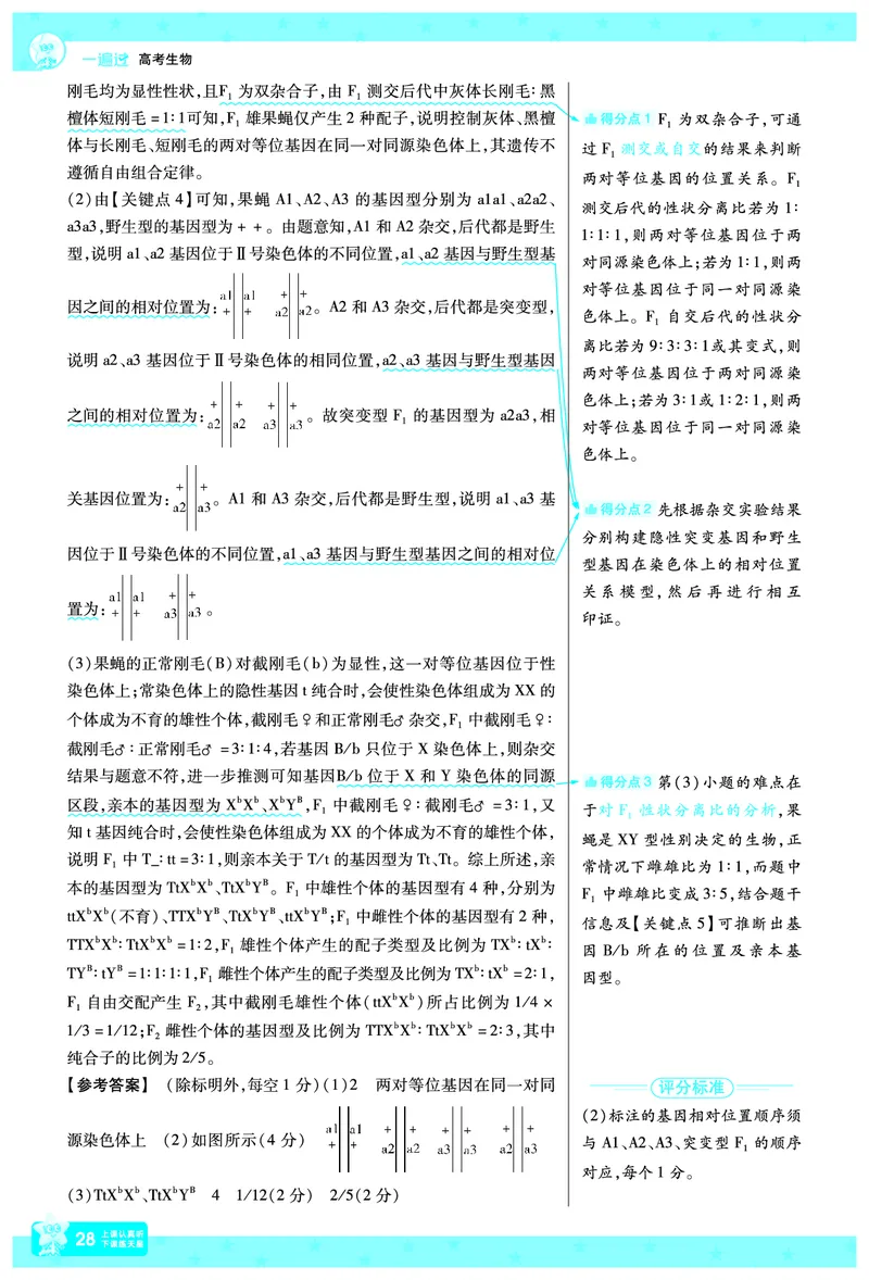 2026《高考生物&bull;一遍过合订本》拆解重难题_高中三年全科资料_高中_高中1_2026版高考《一遍过》高考合订版（理科全套）_2026《高考生物&bull;一遍过合订本》