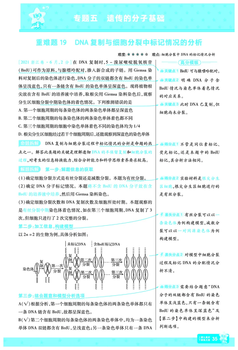 2026《高考生物&bull;一遍过合订本》拆解重难题_高中三年全科资料_高中_高中1_2026版高考《一遍过》高考合订版（理科全套）_2026《高考生物&bull;一遍过合订本》