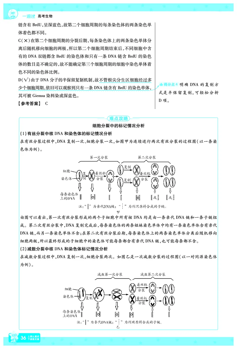 2026《高考生物&bull;一遍过合订本》拆解重难题_高中三年全科资料_高中_高中1_2026版高考《一遍过》高考合订版（理科全套）_2026《高考生物&bull;一遍过合订本》