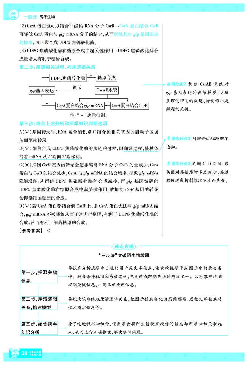 2026《高考生物&bull;一遍过合订本》拆解重难题_高中三年全科资料_高中_高中1_2026版高考《一遍过》高考合订版（理科全套）_2026《高考生物&bull;一遍过合订本》