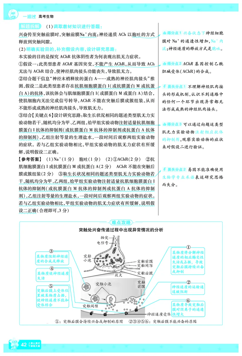 2026《高考生物&bull;一遍过合订本》拆解重难题_高中三年全科资料_高中_高中1_2026版高考《一遍过》高考合订版（理科全套）_2026《高考生物&bull;一遍过合订本》