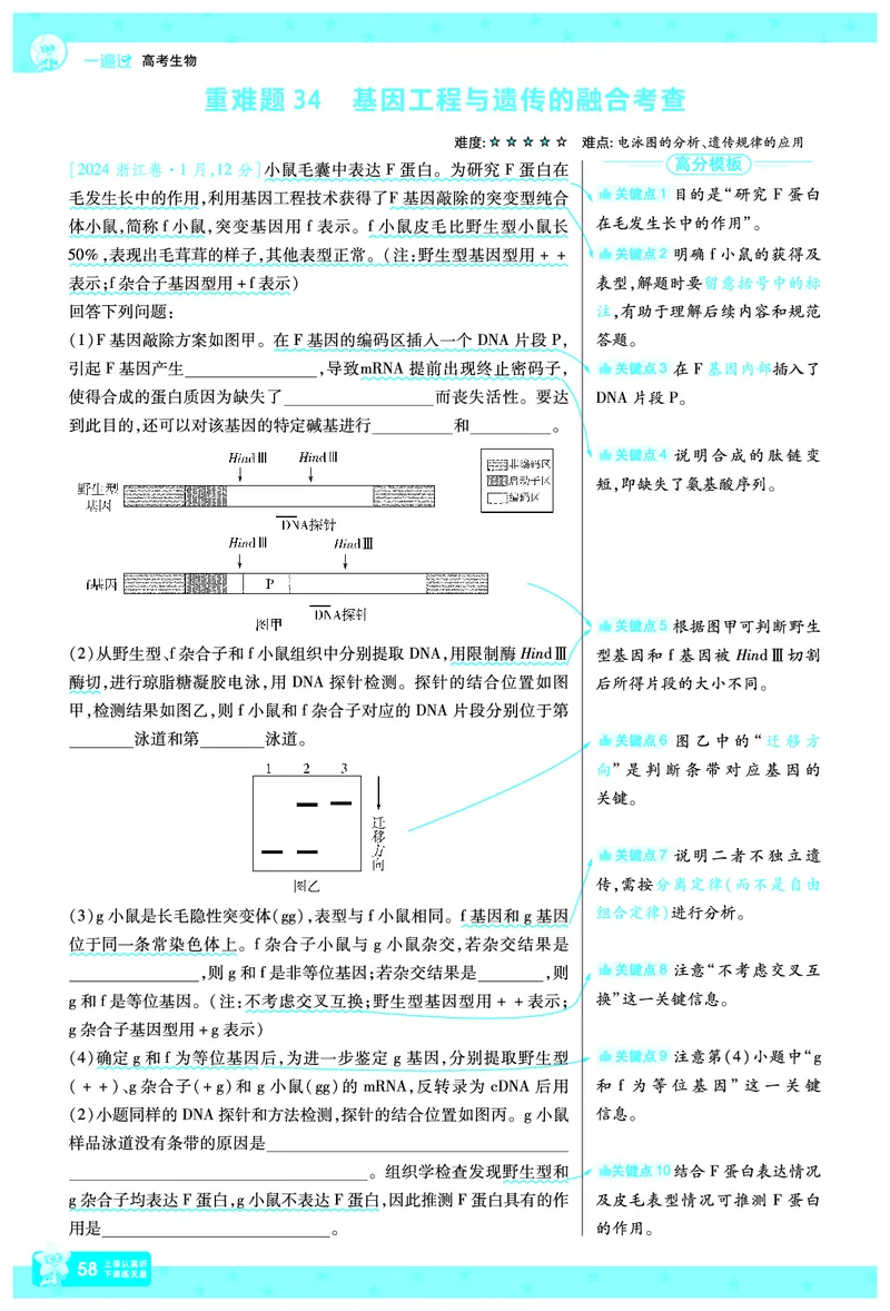 2026《高考生物&bull;一遍过合订本》拆解重难题_高中三年全科资料_高中_高中1_2026版高考《一遍过》高考合订版（理科全套）_2026《高考生物&bull;一遍过合订本》