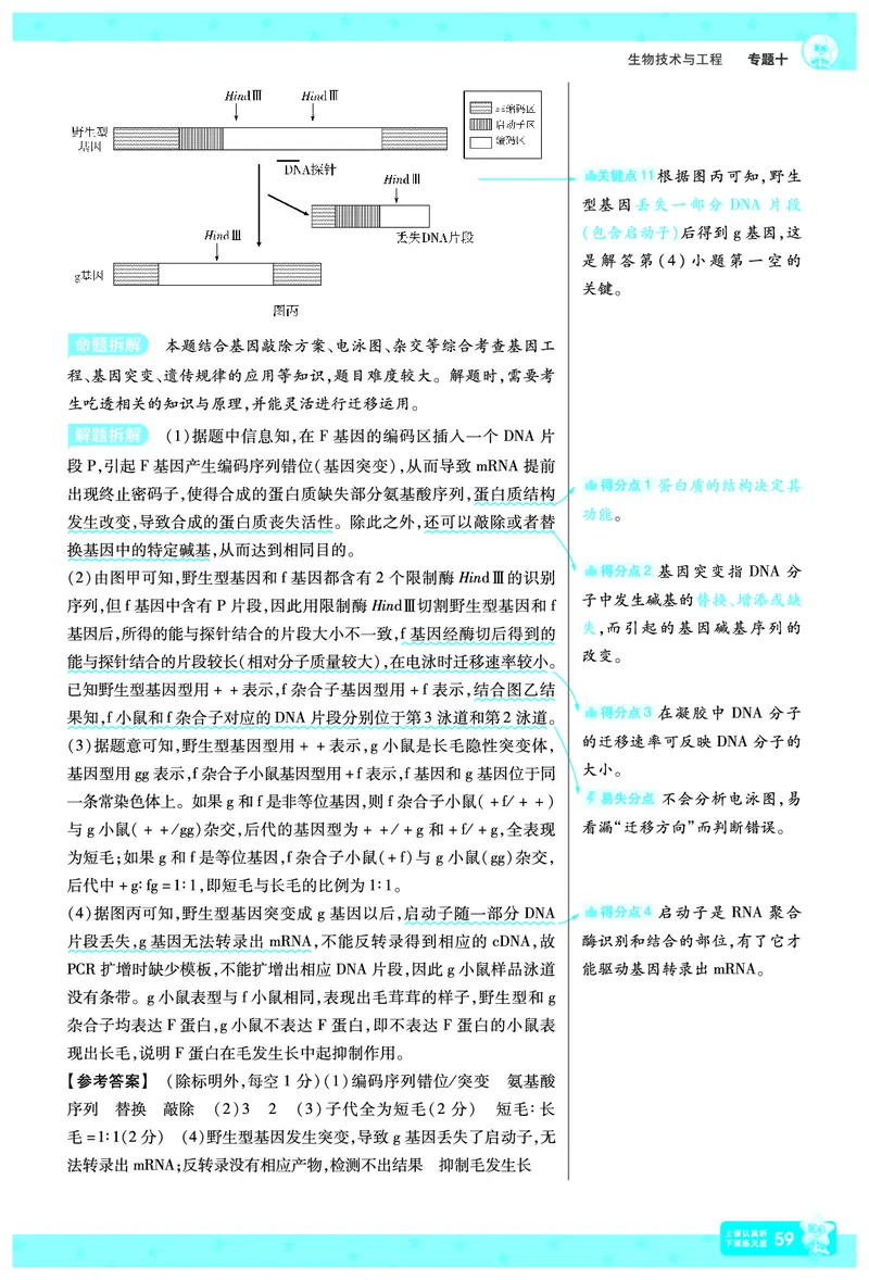 2026《高考生物&bull;一遍过合订本》拆解重难题_高中三年全科资料_高中_高中1_2026版高考《一遍过》高考合订版（理科全套）_2026《高考生物&bull;一遍过合订本》