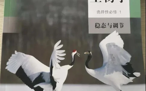 3新教材高中生物选择性必修1《稳态与调节》_高中三年全科资料_高中各科课本电子教材_06高中生物课本_人教版-生物课本