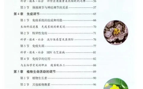 3新教材高中生物选择性必修1《稳态与调节》_高中三年全科资料_高中各科课本电子教材_06高中生物课本_人教版-生物课本