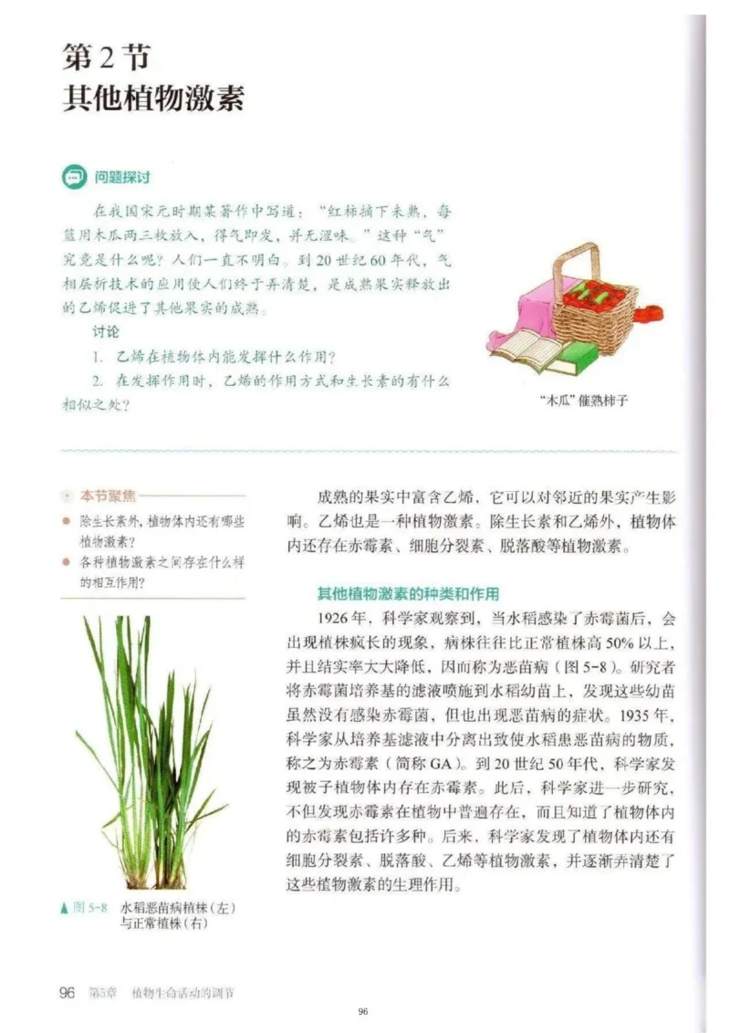 3新教材高中生物选择性必修1《稳态与调节》_高中三年全科资料_高中各科课本电子教材_06高中生物课本_人教版-生物课本