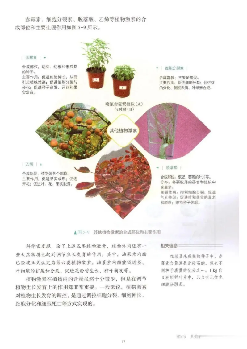 3新教材高中生物选择性必修1《稳态与调节》_高中三年全科资料_高中各科课本电子教材_06高中生物课本_人教版-生物课本