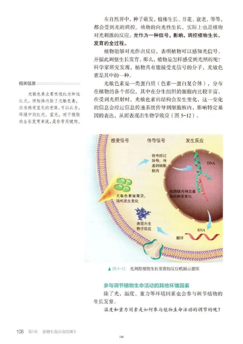 3新教材高中生物选择性必修1《稳态与调节》_高中三年全科资料_高中各科课本电子教材_06高中生物课本_人教版-生物课本
