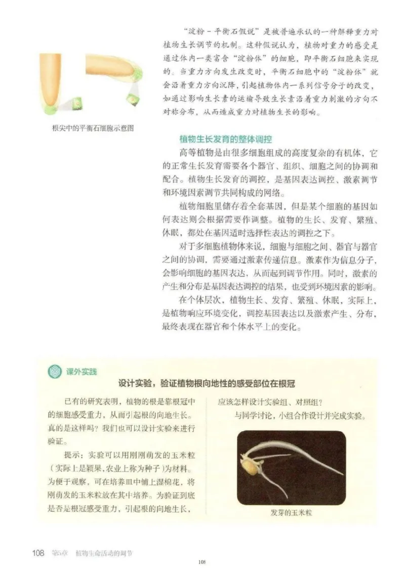 3新教材高中生物选择性必修1《稳态与调节》_高中三年全科资料_高中各科课本电子教材_06高中生物课本_人教版-生物课本