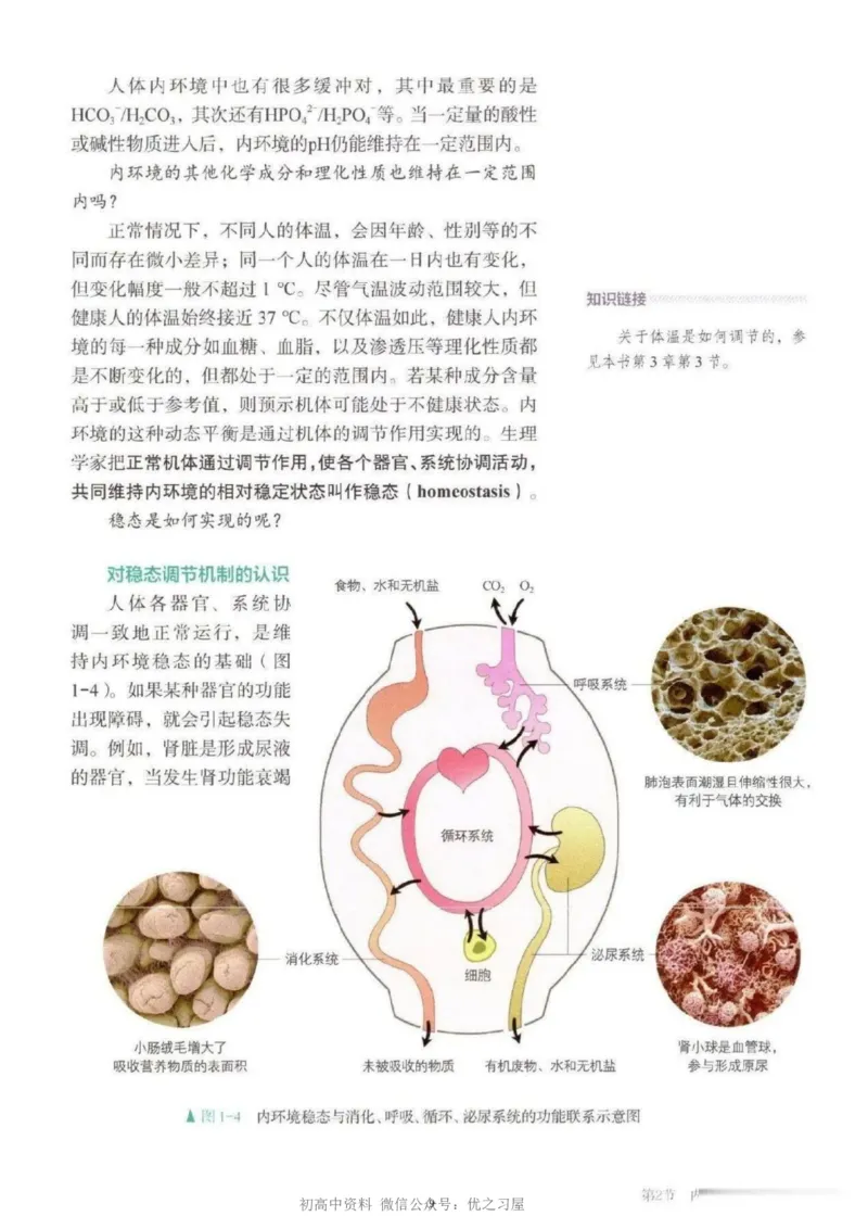 3新教材高中生物选择性必修1《稳态与调节》_高中三年全科资料_高中各科课本电子教材_06高中生物课本_人教版-生物课本