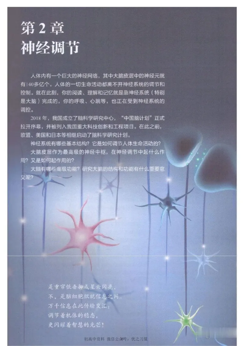 3新教材高中生物选择性必修1《稳态与调节》_高中三年全科资料_高中各科课本电子教材_06高中生物课本_人教版-生物课本