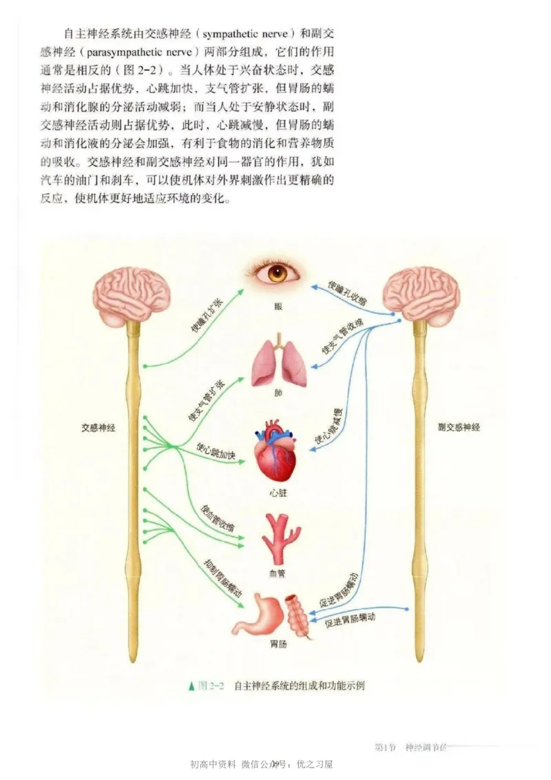 3新教材高中生物选择性必修1《稳态与调节》_高中三年全科资料_高中各科课本电子教材_06高中生物课本_人教版-生物课本