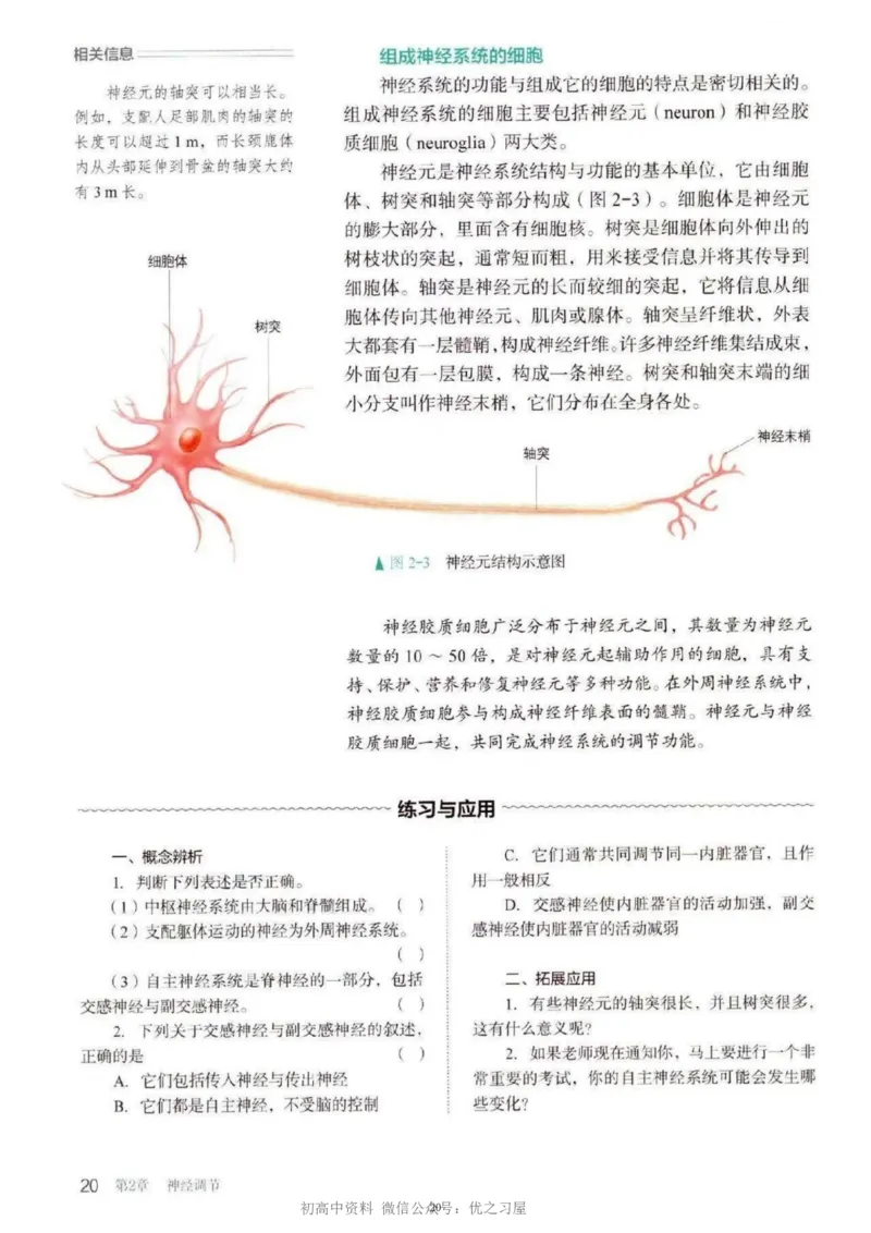 3新教材高中生物选择性必修1《稳态与调节》_高中三年全科资料_高中各科课本电子教材_06高中生物课本_人教版-生物课本