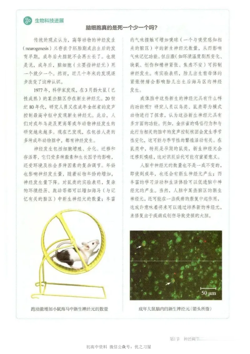 3新教材高中生物选择性必修1《稳态与调节》_高中三年全科资料_高中各科课本电子教材_06高中生物课本_人教版-生物课本