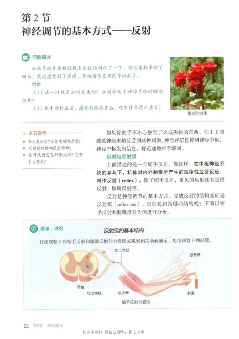 3新教材高中生物选择性必修1《稳态与调节》_高中三年全科资料_高中各科课本电子教材_06高中生物课本_人教版-生物课本