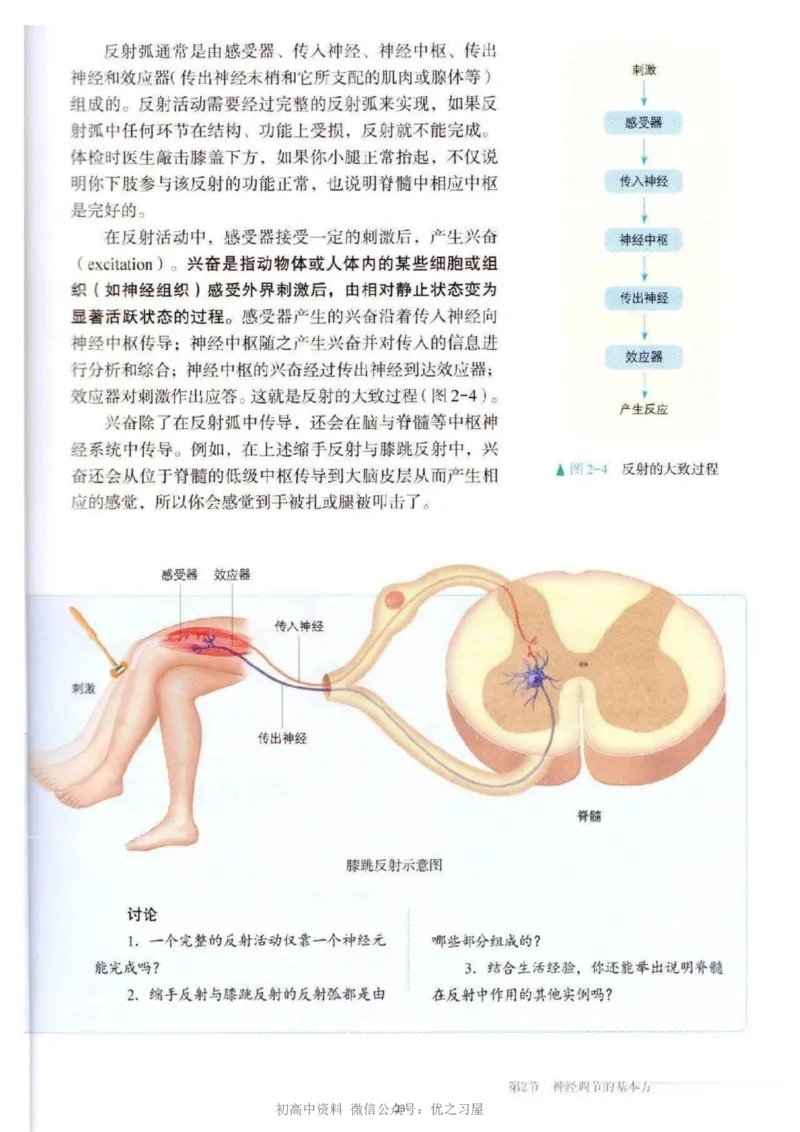 3新教材高中生物选择性必修1《稳态与调节》_高中三年全科资料_高中各科课本电子教材_06高中生物课本_人教版-生物课本