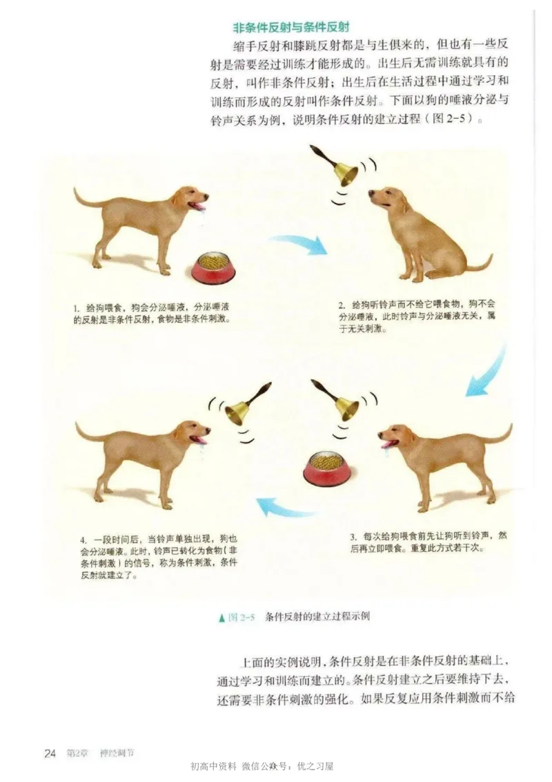 3新教材高中生物选择性必修1《稳态与调节》_高中三年全科资料_高中各科课本电子教材_06高中生物课本_人教版-生物课本