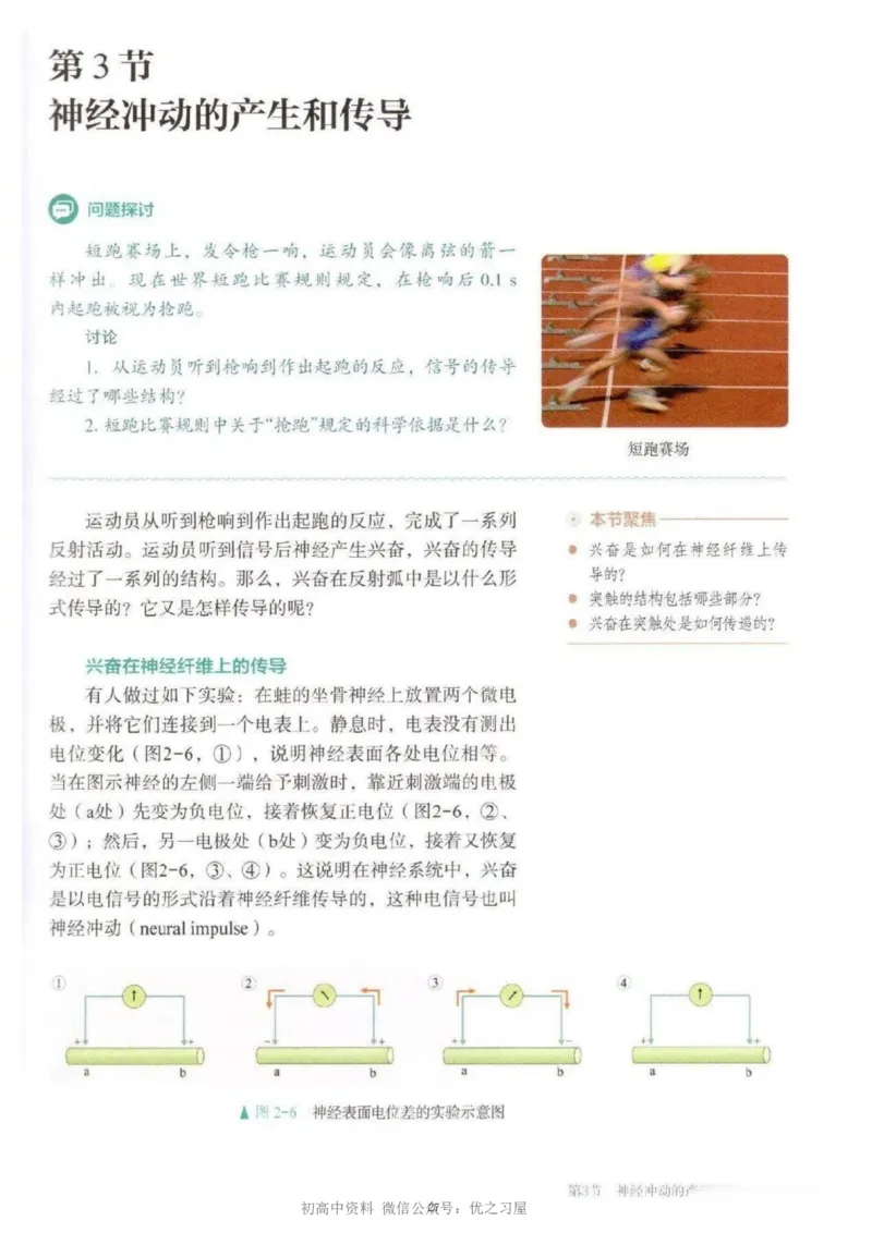 3新教材高中生物选择性必修1《稳态与调节》_高中三年全科资料_高中各科课本电子教材_06高中生物课本_人教版-生物课本