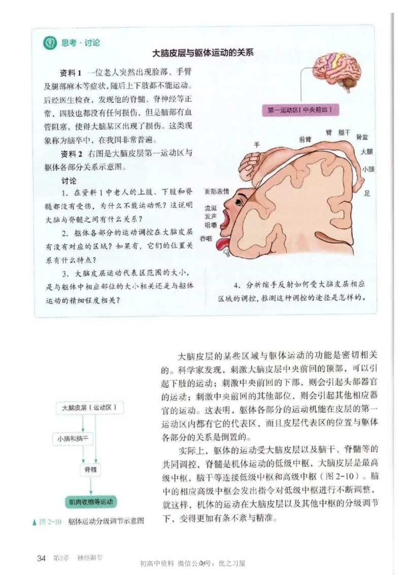 3新教材高中生物选择性必修1《稳态与调节》_高中三年全科资料_高中各科课本电子教材_06高中生物课本_人教版-生物课本