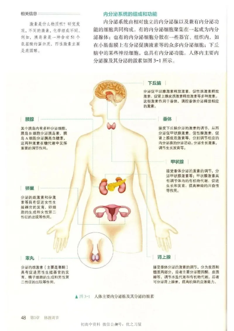 3新教材高中生物选择性必修1《稳态与调节》_高中三年全科资料_高中各科课本电子教材_06高中生物课本_人教版-生物课本
