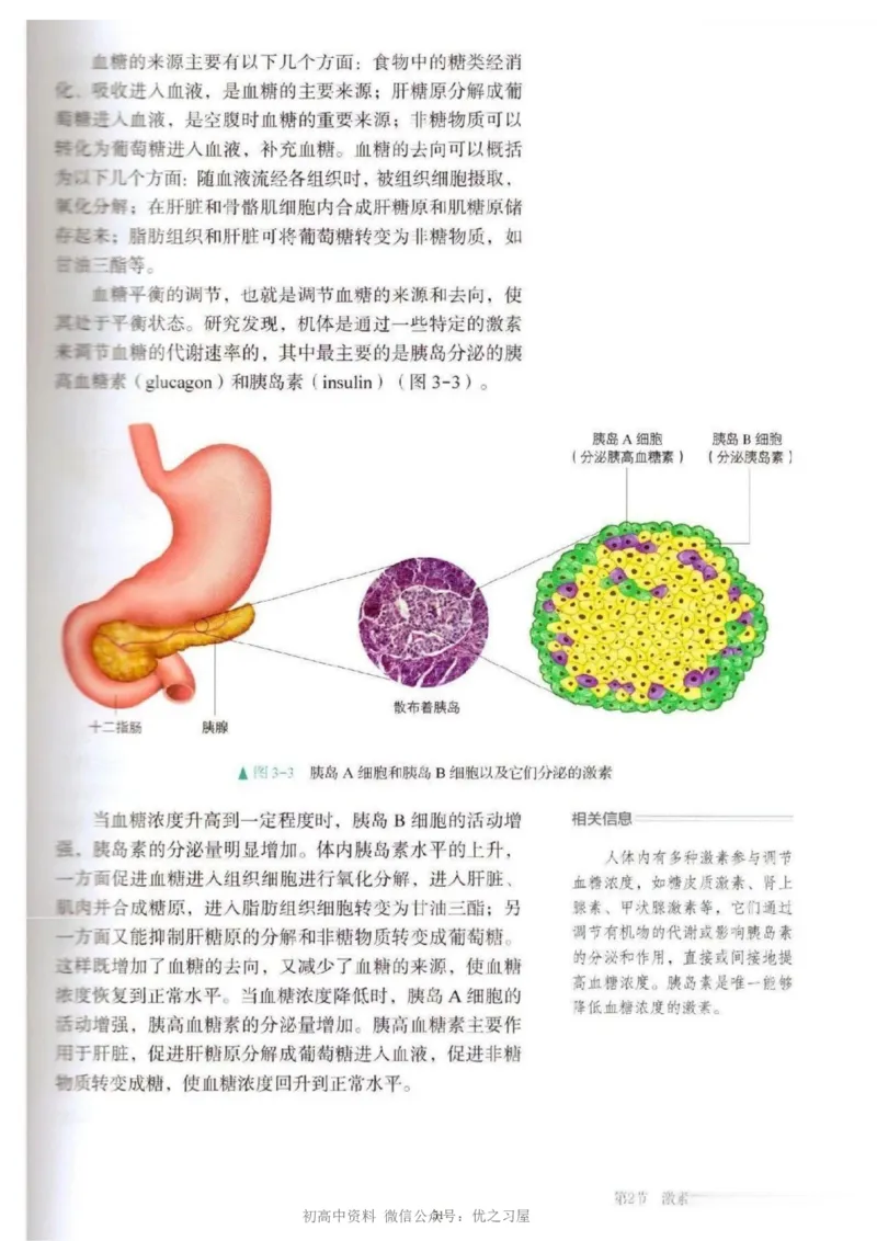 3新教材高中生物选择性必修1《稳态与调节》_高中三年全科资料_高中各科课本电子教材_06高中生物课本_人教版-生物课本
