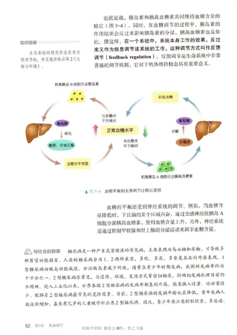 3新教材高中生物选择性必修1《稳态与调节》_高中三年全科资料_高中各科课本电子教材_06高中生物课本_人教版-生物课本