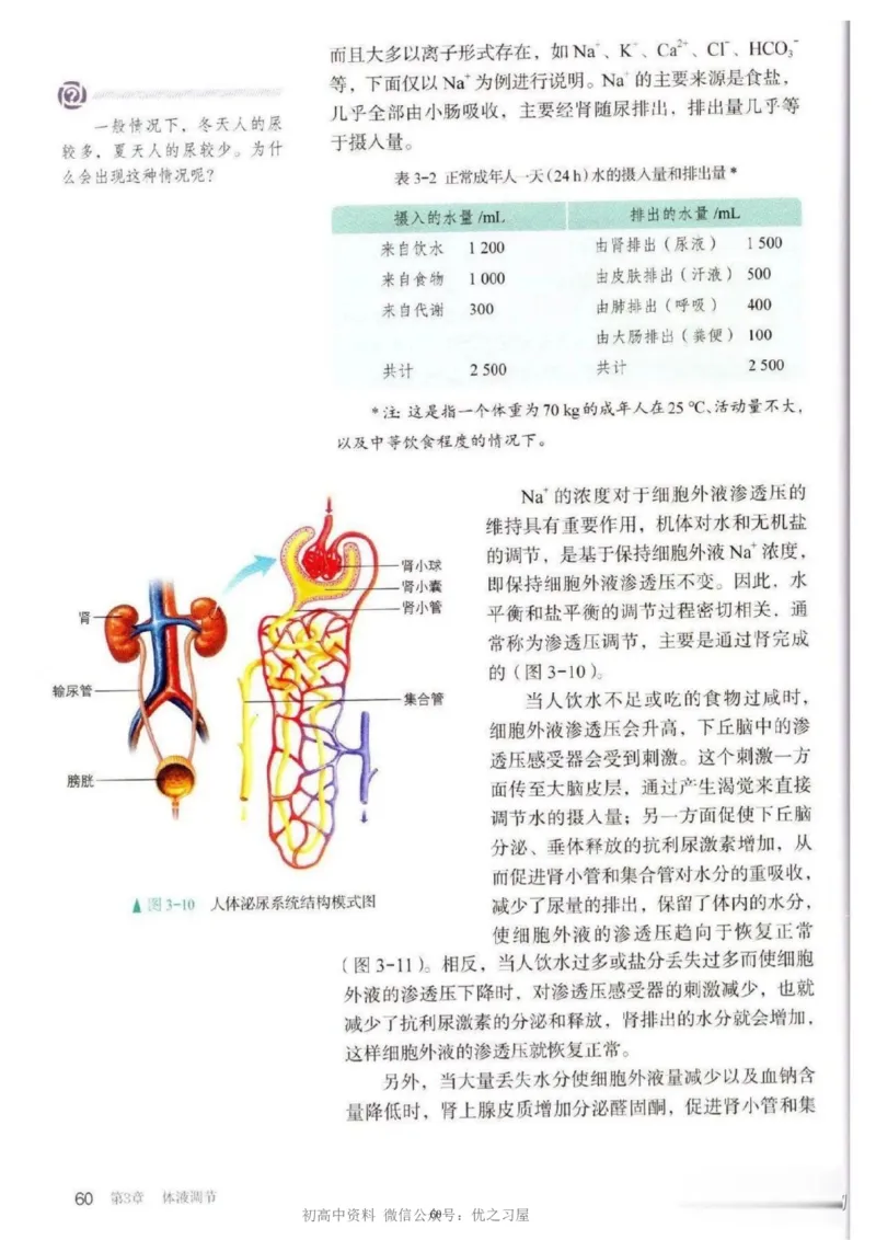 3新教材高中生物选择性必修1《稳态与调节》_高中三年全科资料_高中各科课本电子教材_06高中生物课本_人教版-生物课本