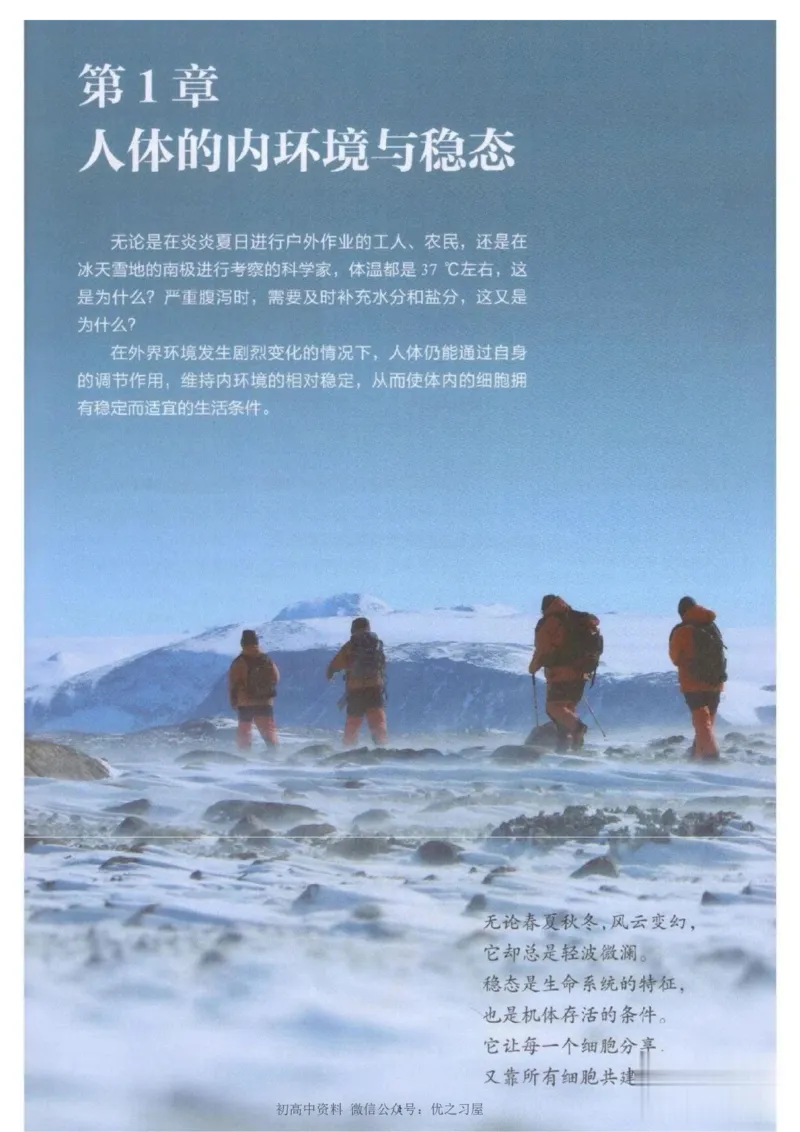 3新教材高中生物选择性必修1《稳态与调节》_高中三年全科资料_高中各科课本电子教材_06高中生物课本_人教版-生物课本