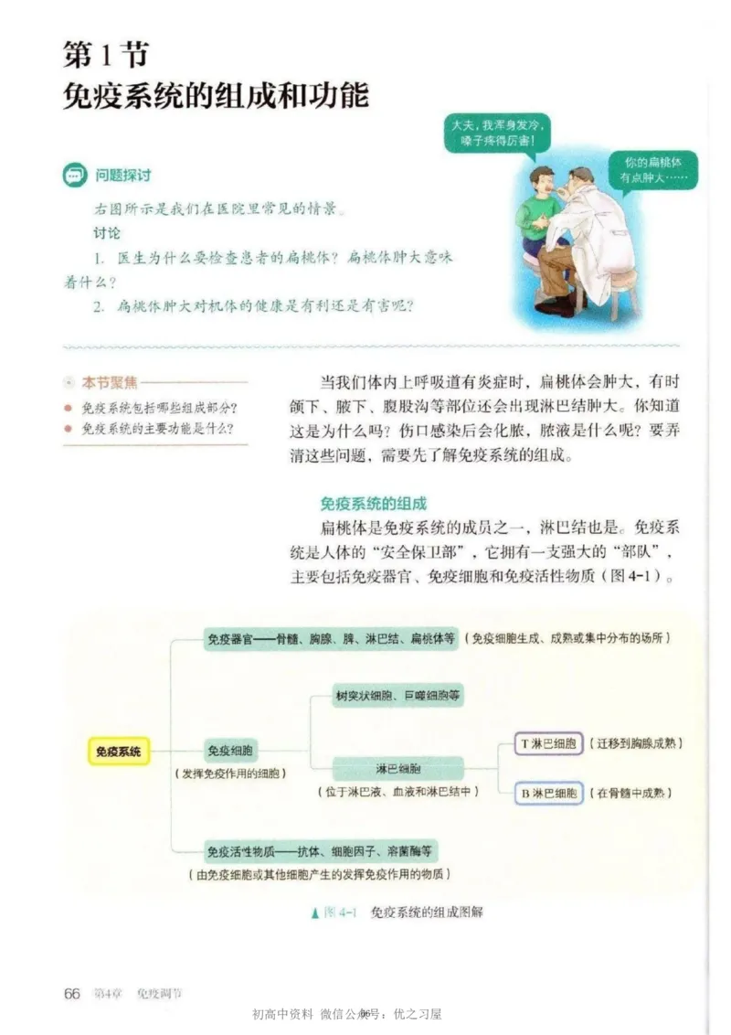 3新教材高中生物选择性必修1《稳态与调节》_高中三年全科资料_高中各科课本电子教材_06高中生物课本_人教版-生物课本