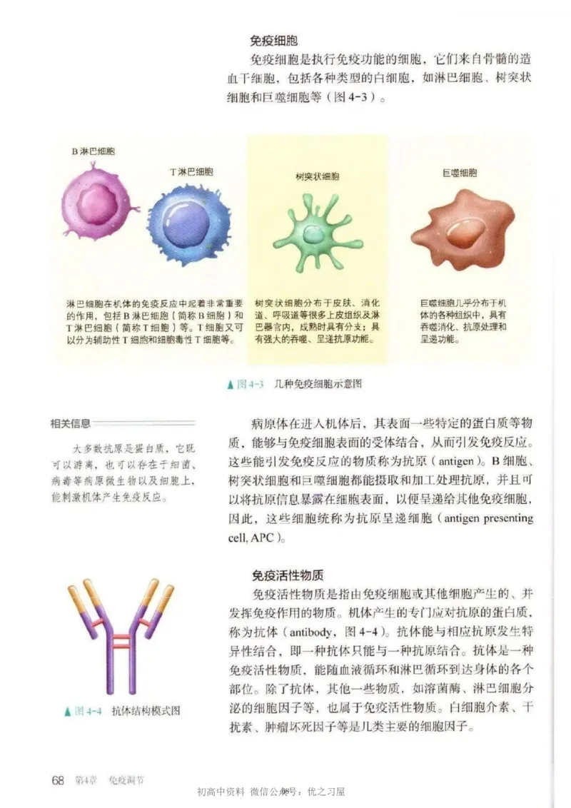 3新教材高中生物选择性必修1《稳态与调节》_高中三年全科资料_高中各科课本电子教材_06高中生物课本_人教版-生物课本