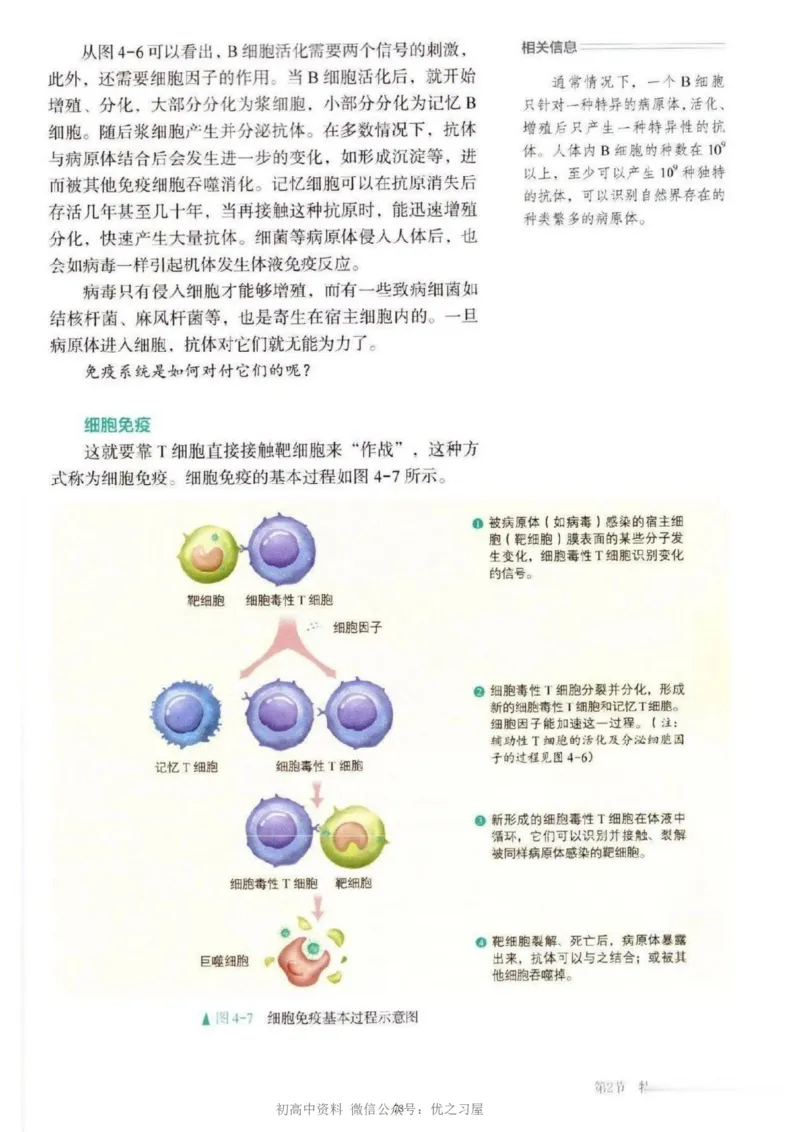 3新教材高中生物选择性必修1《稳态与调节》_高中三年全科资料_高中各科课本电子教材_06高中生物课本_人教版-生物课本