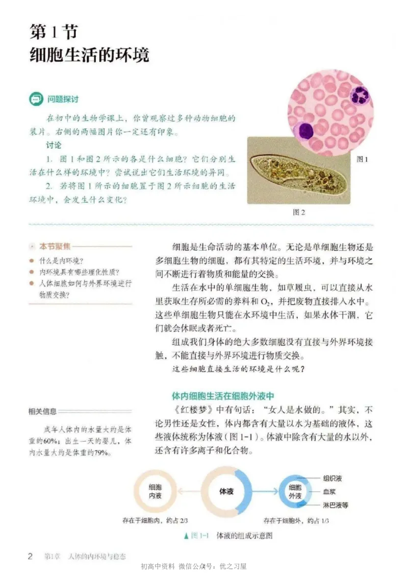 3新教材高中生物选择性必修1《稳态与调节》_高中三年全科资料_高中各科课本电子教材_06高中生物课本_人教版-生物课本
