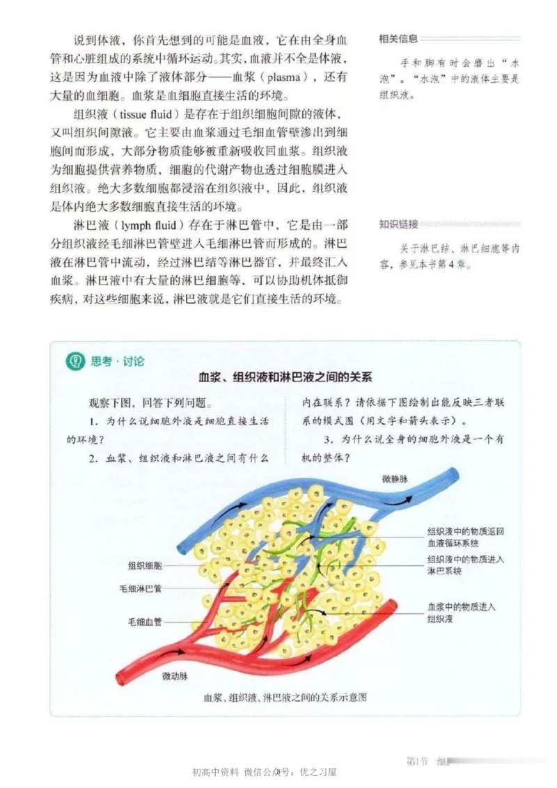 3新教材高中生物选择性必修1《稳态与调节》_高中三年全科资料_高中各科课本电子教材_06高中生物课本_人教版-生物课本