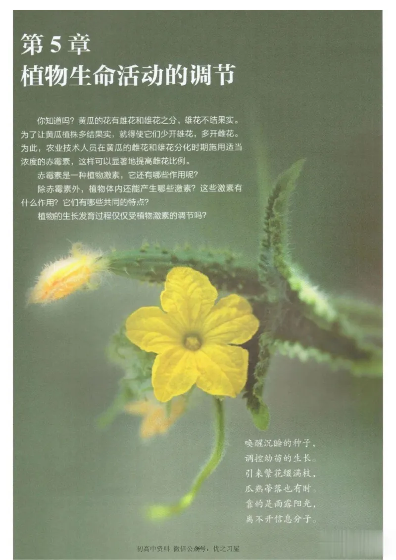3新教材高中生物选择性必修1《稳态与调节》_高中三年全科资料_高中各科课本电子教材_06高中生物课本_人教版-生物课本