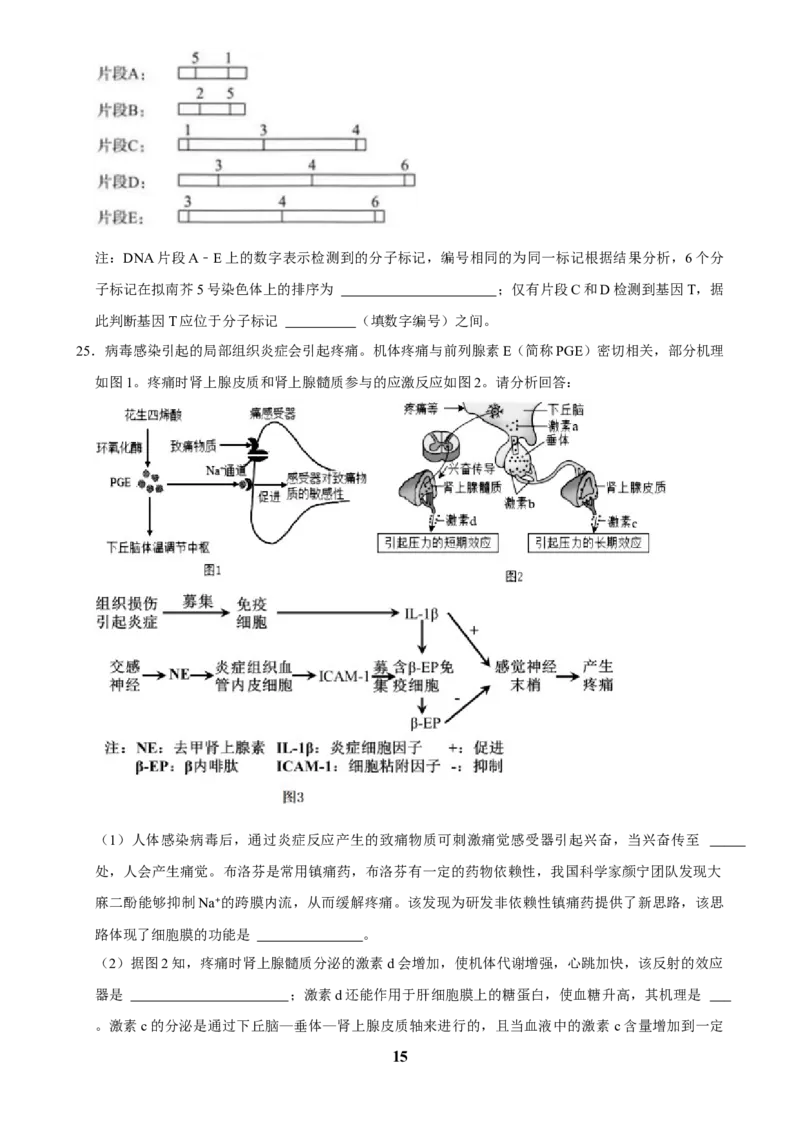 2025年菁优高考生物压轴训练7_中考押题2026《中考押题》系列（9科全套实时更新中）_2026版中考《菁优系列》趋势分析+押题密卷+抢分秘籍+模拟考试_0062025菁优高考解密汇编-生物_压轴篇