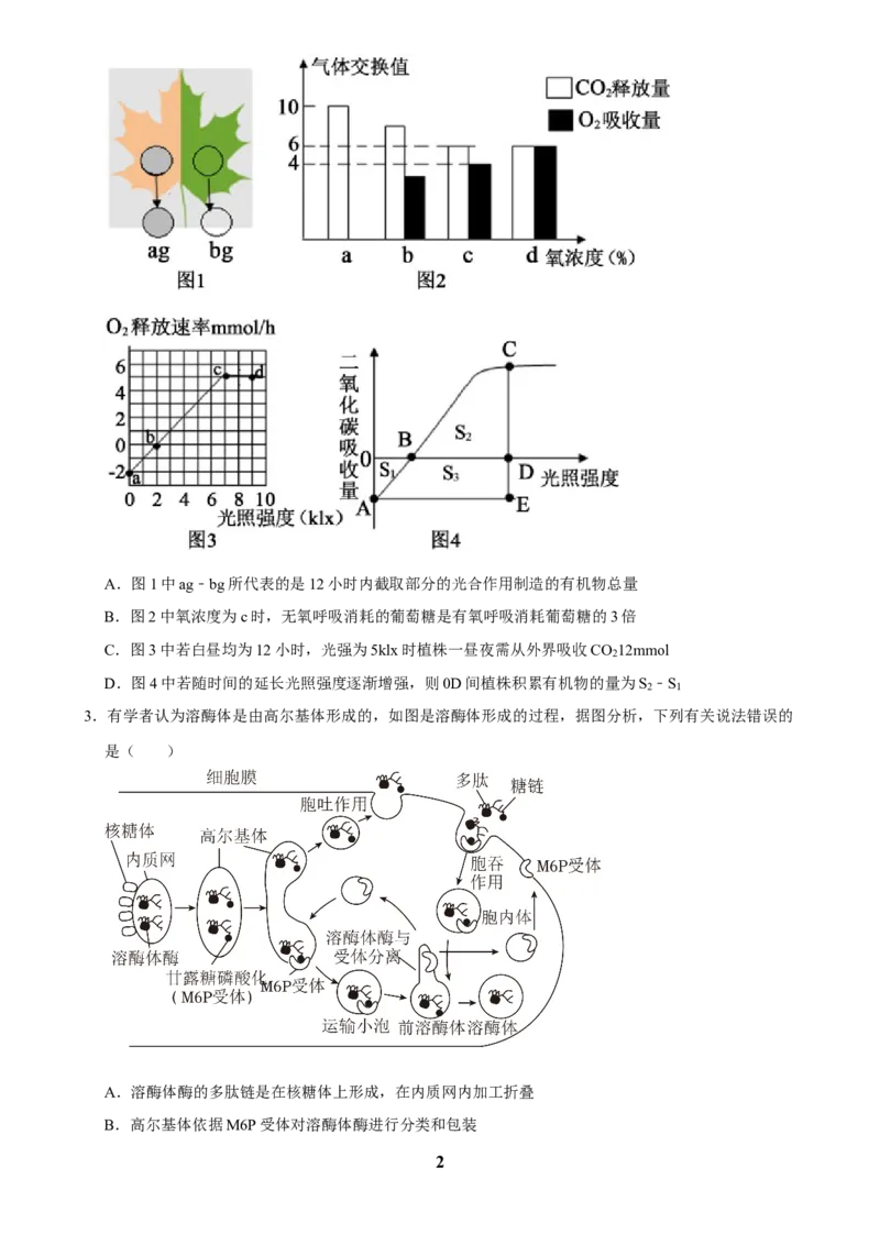 2025年菁优高考生物压轴训练7_中考押题2026《中考押题》系列（9科全套实时更新中）_2026版中考《菁优系列》趋势分析+押题密卷+抢分秘籍+模拟考试_0062025菁优高考解密汇编-生物_压轴篇