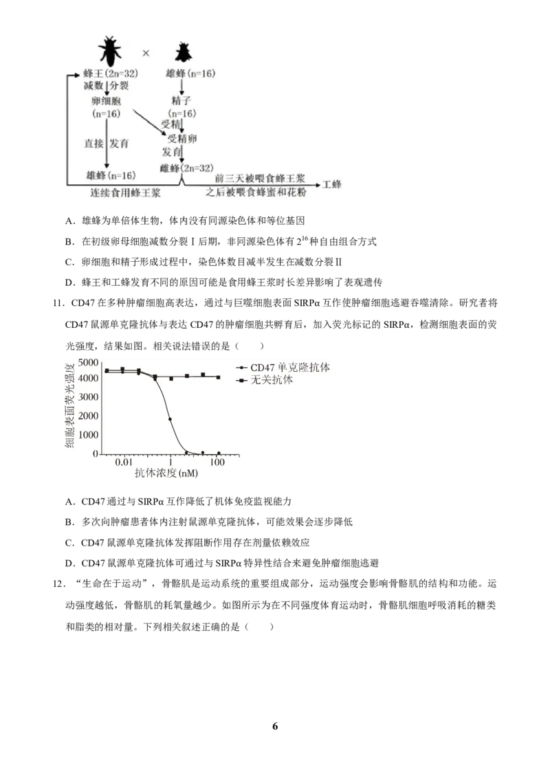 2025年菁优高考生物压轴训练7_中考押题2026《中考押题》系列（9科全套实时更新中）_2026版中考《菁优系列》趋势分析+押题密卷+抢分秘籍+模拟考试_0062025菁优高考解密汇编-生物_压轴篇