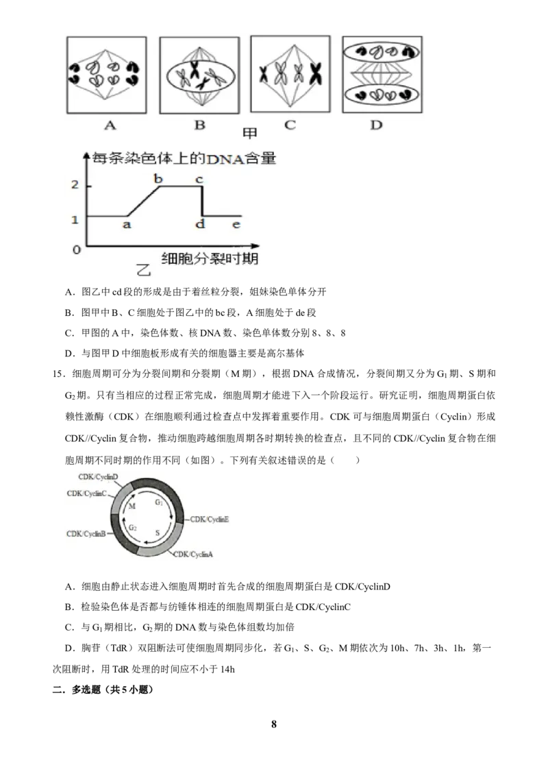 2025年菁优高考生物压轴训练7_中考押题2026《中考押题》系列（9科全套实时更新中）_2026版中考《菁优系列》趋势分析+押题密卷+抢分秘籍+模拟考试_0062025菁优高考解密汇编-生物_压轴篇