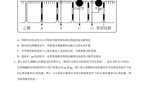 2025年菁优高考生物压轴训练7_中考押题2026《中考押题》系列（9科全套实时更新中）_2026版中考《菁优系列》趋势分析+押题密卷+抢分秘籍+模拟考试_0062025菁优高考解密汇编-生物_压轴篇