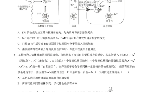 2025年菁优高考生物压轴训练7_中考押题2026《中考押题》系列（9科全套实时更新中）_2026版中考《菁优系列》趋势分析+押题密卷+抢分秘籍+模拟考试_0062025菁优高考解密汇编-生物_压轴篇