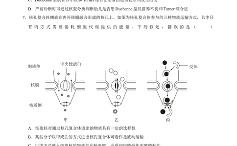 2025年菁优高考生物压轴训练7_中考押题2026《中考押题》系列（9科全套实时更新中）_2026版中考《菁优系列》趋势分析+押题密卷+抢分秘籍+模拟考试_0062025菁优高考解密汇编-生物_压轴篇